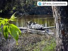 Северский Донец. Переправа, где были ликвидированы две российские БТГ