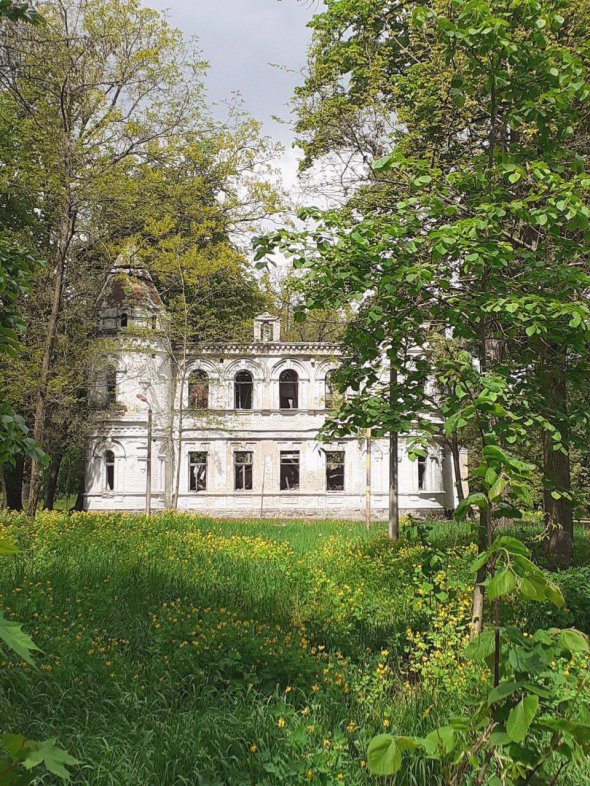 Цілим після обстрілів залишилася садиба Штамма