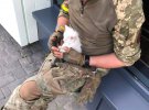 Котів, які допомагають воїнам захищати Україну вже називають фронтовими.