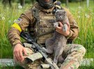 Котов, которые помогают воинам защищать Украину, уже называют фронтовыми.