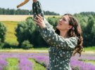 Під Києвом відкривають лавандовий парк. Як виглядає