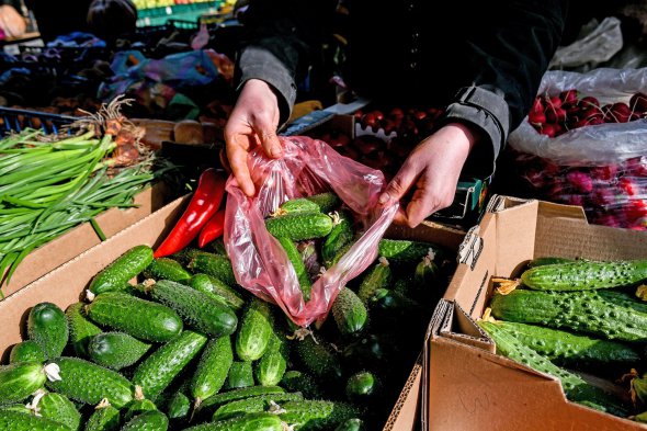 Продавать овощи в Токмаке и его окрестностях – проблематично. Огурцы и помидоры почти никто не покупает