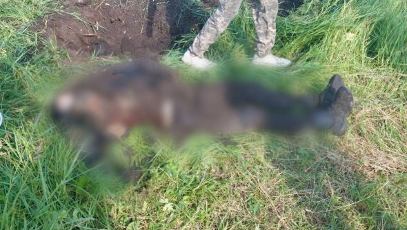 На Київщині знайшли тіло розстріляного терористами чоловіка