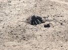 Ворог продовжує обстріли прикордоння Сумщини та Чернігівщини. Фото: twitter.com/DPSU_ua