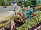 У Києві висаджують особливі квіткові композиції