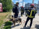 Російські загарбники 14 липня вдарили крилатими ракетами "Калібр" по центру Вінниці