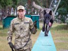 Собака Віскі допомагає прикордоннику Володимиру шукати вибухівку