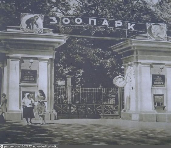 Киевский зоопарк был основан в 1909 году по инициативе Киевского общества любителей природы.