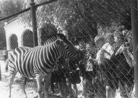 В 1920-х зоопарк пополнили новыми видами животных.