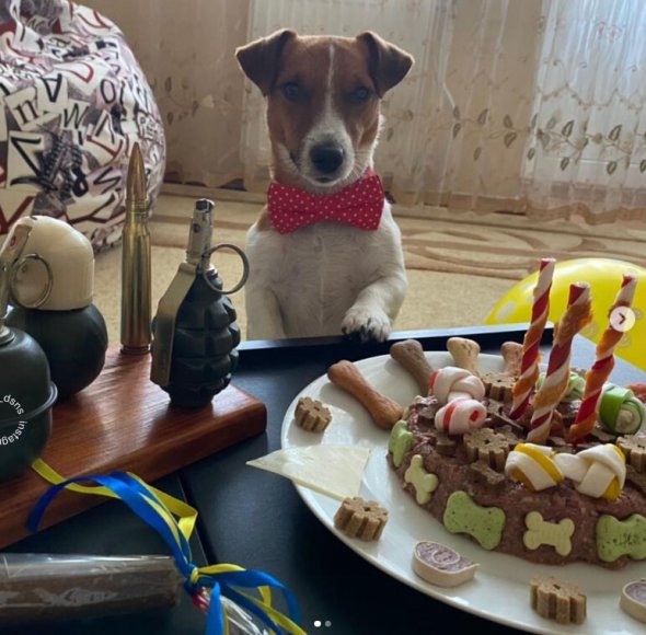 Пес Патрон празднует день рождения