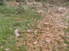 Російські окупанти відкрили вогонь з артилерії по селищу в Есманській громаді. Пошкодили церкву, лінію електропередач та зруйнували громадський туалет