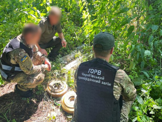 Прикордонні кінологи виявили схрон зі зброєю на Чернігівщині