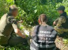 Прикордонні кінологи виявили схрон зі зброєю на Чернігівщині