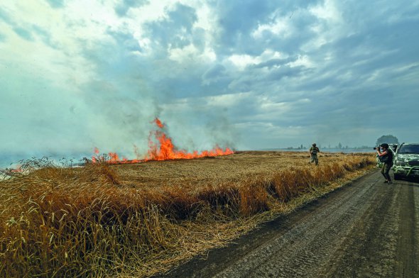 Пшениця горить у Пологівському районі Запорізької області 17 липня. Росіяни умисно обстріляли поле, щоб фермери не змогли зібрати урожай