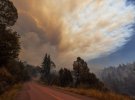 Аномальна спека у США призвела до масштабних лісових пожеж у Каліфорнії
