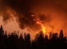 Аномальная жара в США привела к масштабным лесным пожарам в Калифорнии