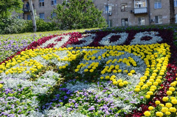 В Киеве в честь "Азова" создали цветочное панно