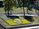 В Киеве в честь "Азова" создали цветочное панно