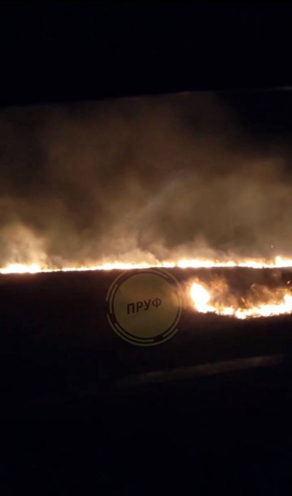 В результате обстрела Николаева ночью 31 июля загорелась лесополоса
