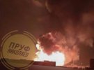В результате обстрела Николаева ночью 31 июля загорелась лесополоса