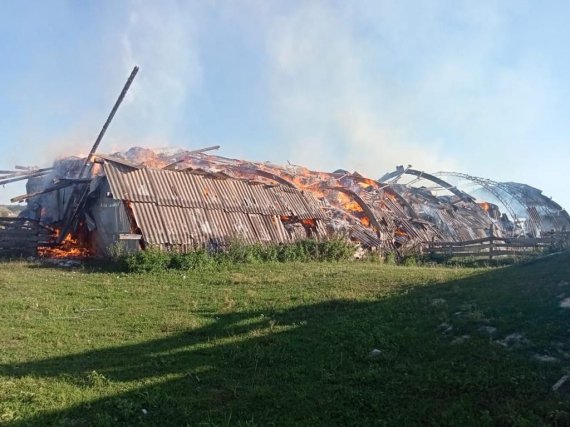 Росіяни відкрили масований вогонь з мінометів та ствольної артилерії по Сумщині