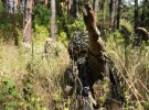 Вооруженные силы Украины продвигаются в Херсонской области. Украинские защитники постепенно выбивают врага с захваченных им территорий. ВСУ, вероятно, готовятся начать или уже начали контрнаступление в Херсонской области.
