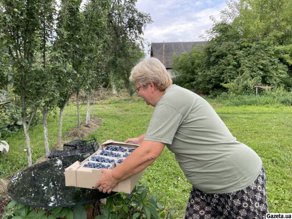 Галина Мовчун - дружина Валентина також береучасть у сімейному бізнесі. Жінка займається фасуванням та пакуванням ягоди