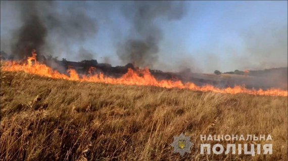 У Василівському районі ворожим вогнем знищено 70 гектарів врожаю з пшеницею