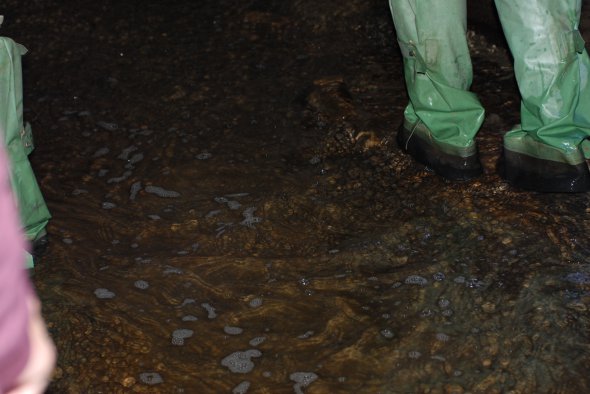 У Києві дигери водять екскурсії підземними  річками