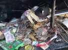 Эту лоску в Нидерландах трудно заметить среди всего мусора в ее гнезде