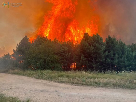 9 серпня вчергове під російський обстріл потрапило Галицинівське лісове урочище