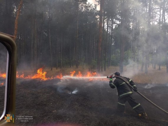 За минулу добу росіяни двічі обстріляли Балабанівський ліс