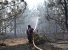 За минувшие сутки россияне дважды обстреляли Балабановский лес