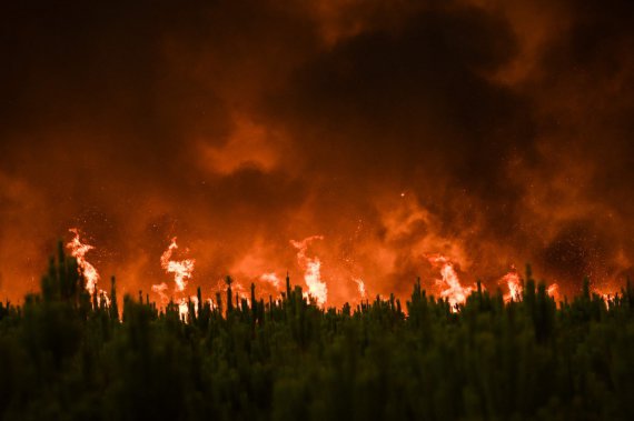 На юго-западе Франции из-за жары возникли масштабные лесные пожары