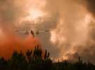 На юго-западе Франции из-за жары возникли масштабные лесные пожары
