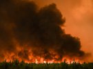 На південному заході Франції через спеку виникли масштабні лісові пожежі