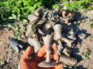 Археологи ведуть розкопки на Тернопільщині