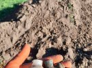 Археологи ведут раскопки в Тернопольской области