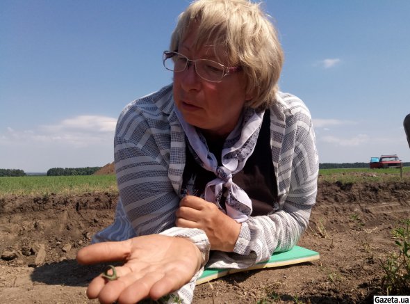 Археолог Ирина Шрамко показывает находки, сделанные на могильнике Скоробир (фото 2017 года)