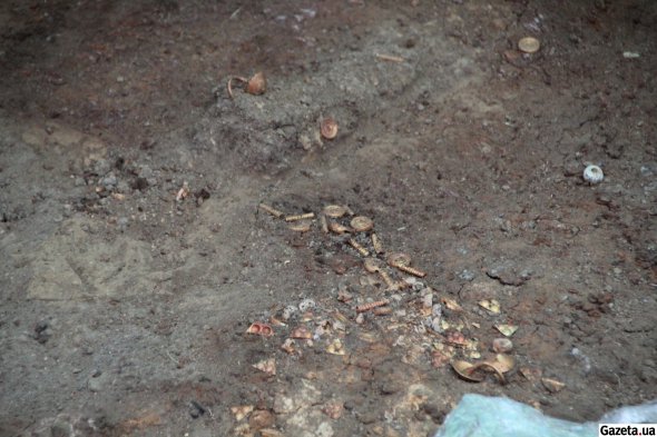 Экспедиция Ирины Шрамко нашла золото при раскопках в погребении на некрополе Скоробир (фото 2017 года)