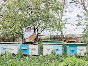 Леонора Адамчук працює на своїй пасіці в Київській області. Тримає 10–15 бджолосімей, щоб забезпечувати родину. Професійно почала займатися бджолярством у восьмому класі, допомагала діду