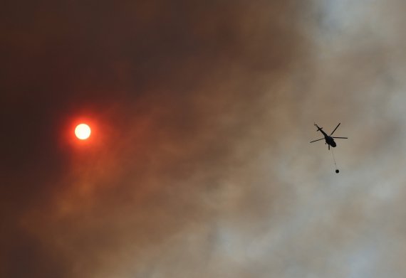 На западе Турции масштабный лесной пожар