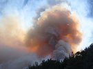 На заході Туреччини масштабна лісова пожежа
