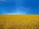 Найпопулярніше пояснення кольорів українського прапора - синя смуга символізує небо, а жовта – золоті пшеничні лани 