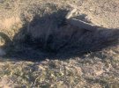 Ночью 25 августа враг ударил ракетами по Киевской области. Есть разрушения. Фото: t.me/andrii_nebytov