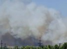 Возле захваченного россиянами Энергодара горит лес