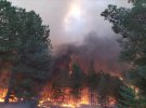 25 августа произошел пожар на территории Андреевского лесничества