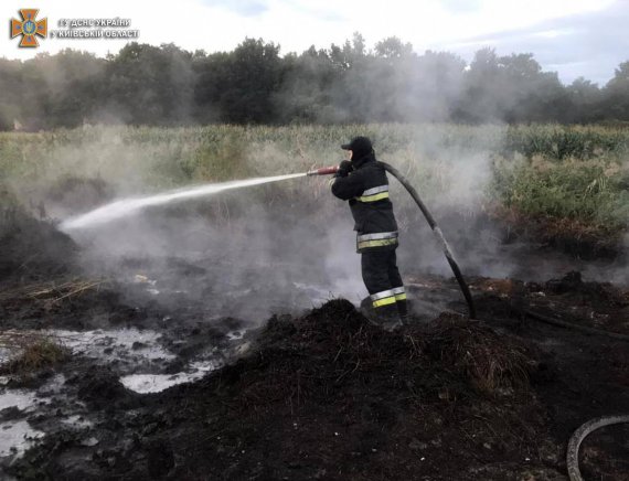 В Киевской области утром 5 сентября тушат пожары на торфяниках