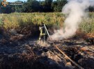 В Киевской области утром 5 сентября тушат пожары на торфяниках