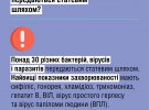 Cтатевим шляхом передаються понад 30 різних бактерій, вірусів і паразитів, нагадує МОЗ.